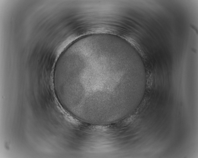 X0000102251086200808081405