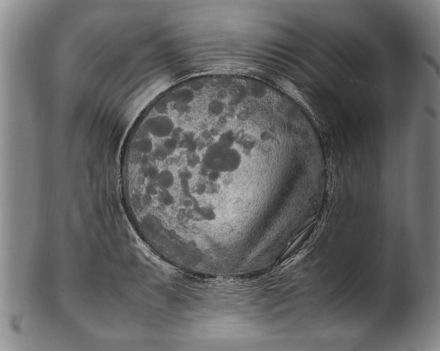 X0000102251087200808081405