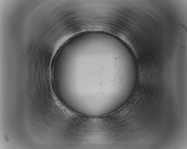 X0000102251088200808081405