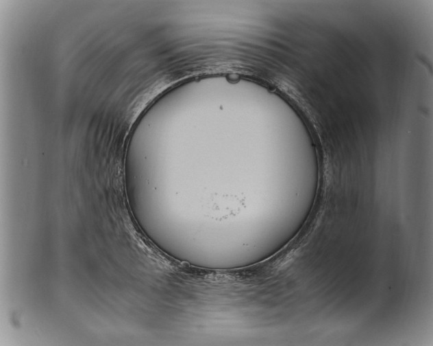 X0000102251089200808081405