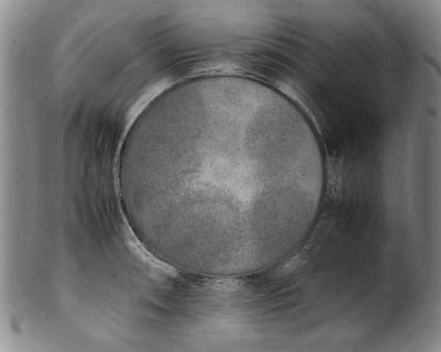 X0000102251090200808081405