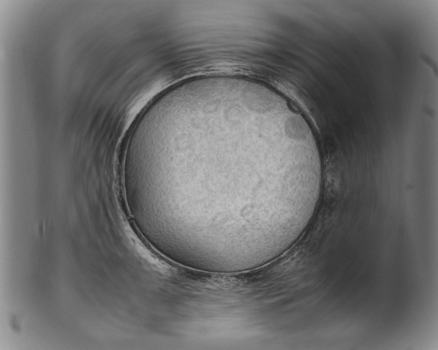 X0000102251091200808081405