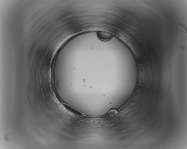 X0000102251092200808081405