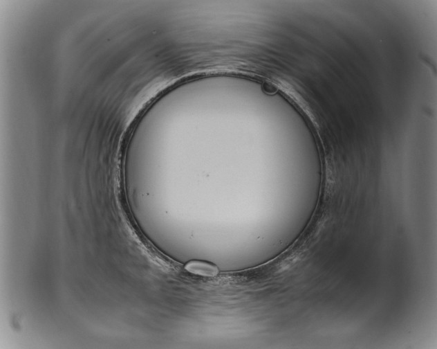 X0000102251093200808081405