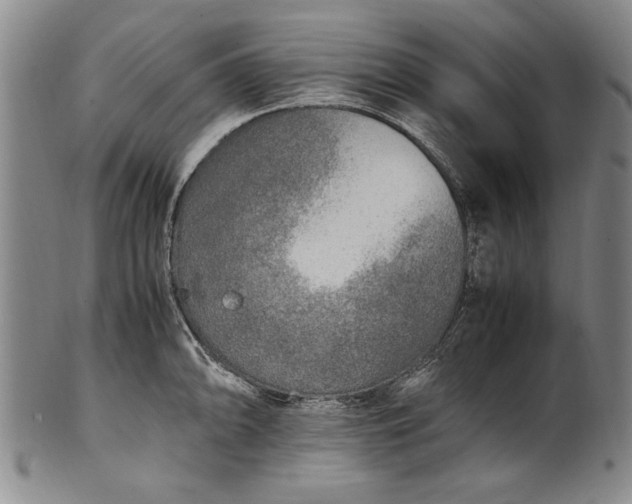 X0000102251094200808081405