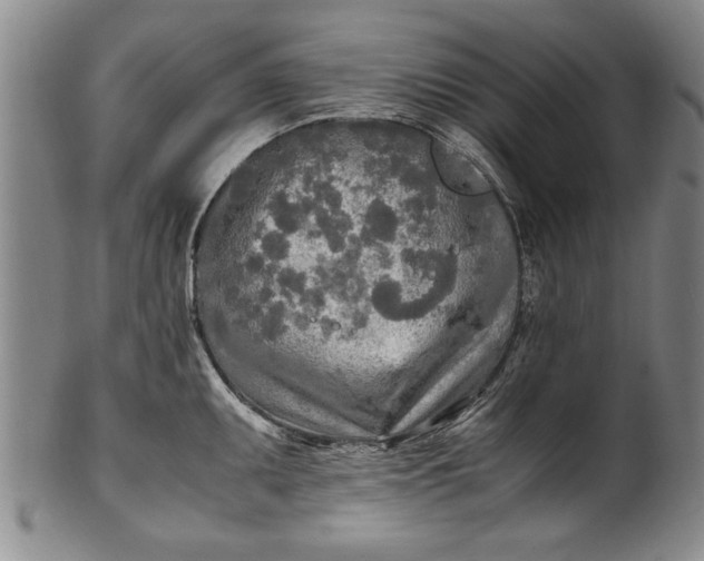 X0000102251095200808081405