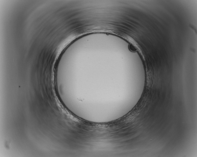 X0000102251096200808081405