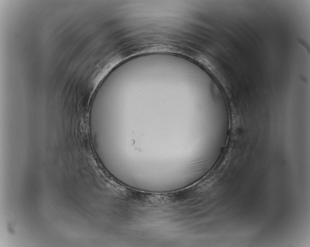 X0000102251097200808081405