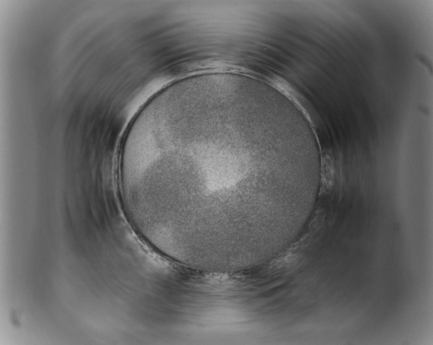 X0000102251098200808081405