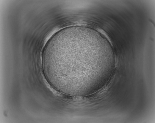 X0000102251099200808081405