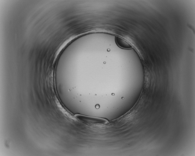 X0000102251100200808081405