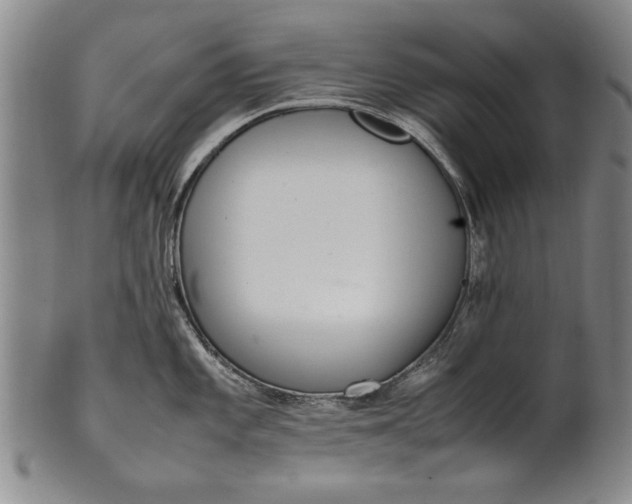 X0000102251101200808081405