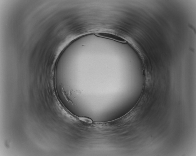 X0000102251102200808081405