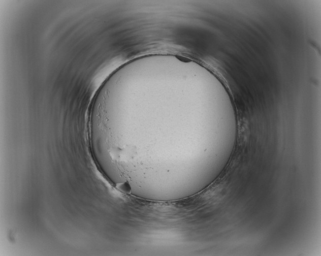 X0000102251103200808081405