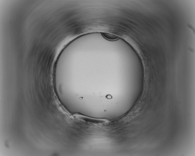 X0000102251104200808081405