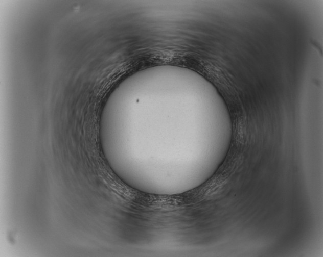 X0000102251105200808081404