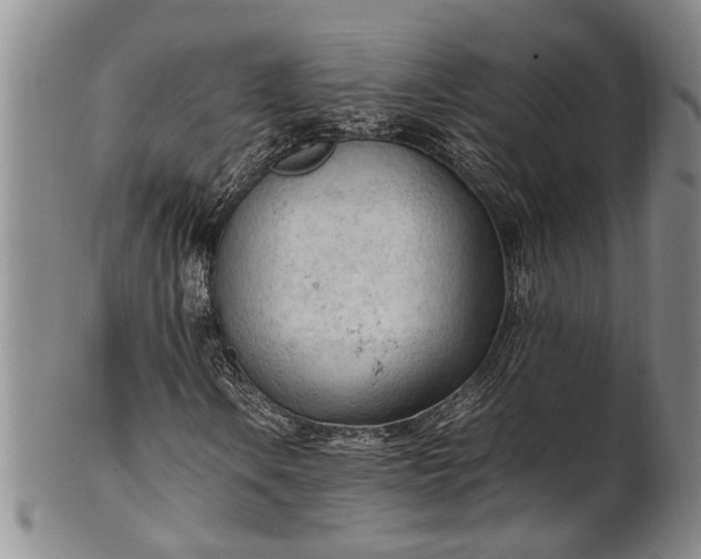 X0000102251106200808081404