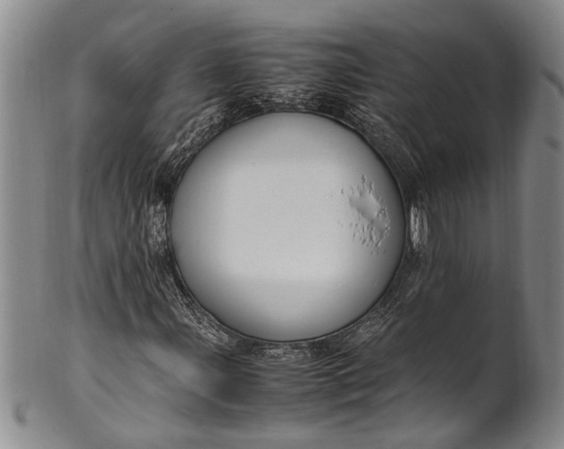 X0000102251107200808081404