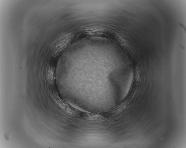 X0000102251108200808081404