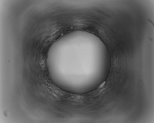 X0000102251109200808081404