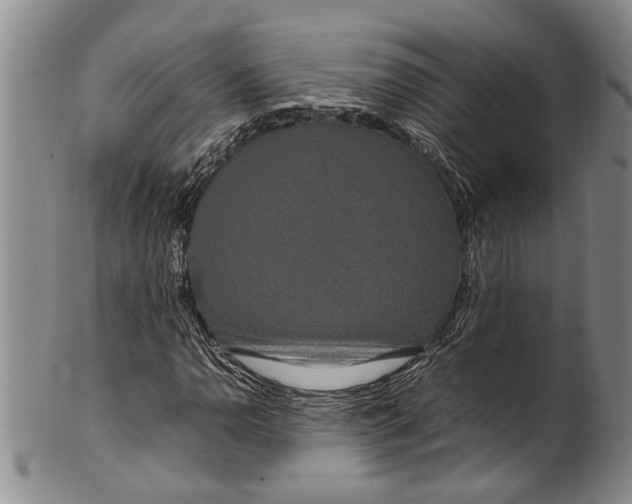 X0000102251110200808081404