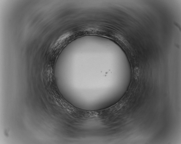 X0000102251111200808081404