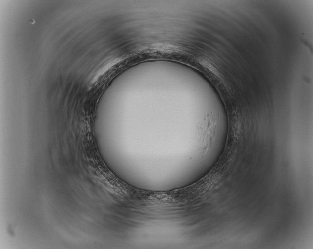 X0000102251112200808081404