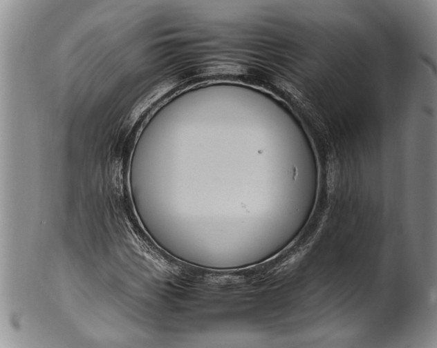 X0000102251113200808081404