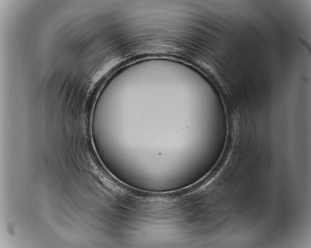 X0000102251114200808081404