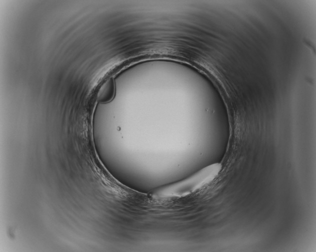 X0000102251115200808081404