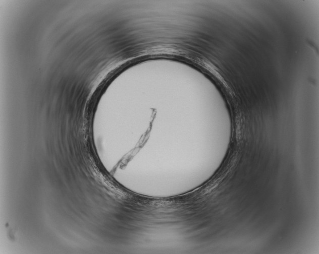 X0000102251116200808081404