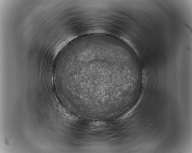 X0000102251117200808081404