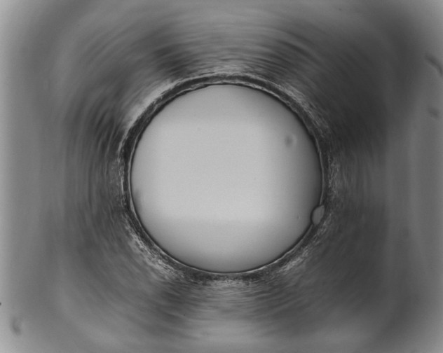 X0000102251118200808081404