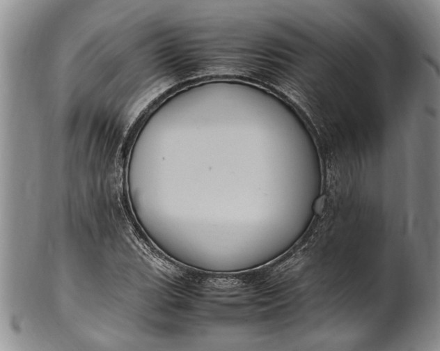 X0000102251119200808081404