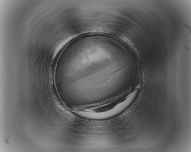 X0000102251120200808081404