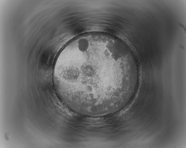 X0000102251121200808081405