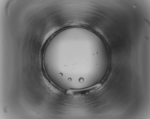 X0000102251122200808081405