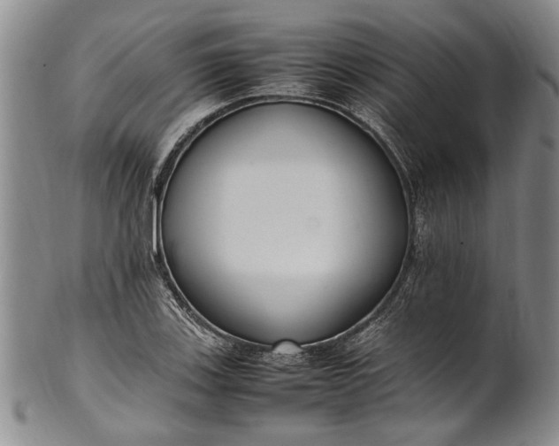 X0000102251123200808081405