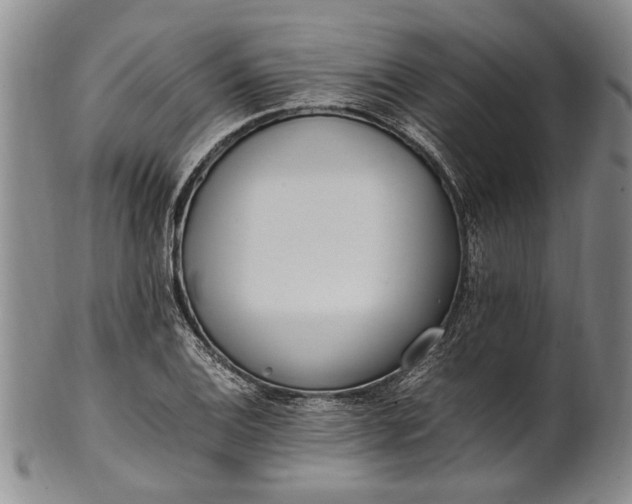 X0000102251124200808081405