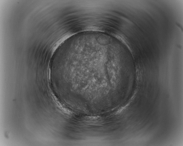 X0000102251125200808081405