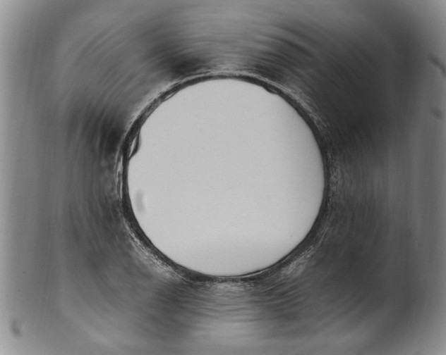 X0000102251126200808081405