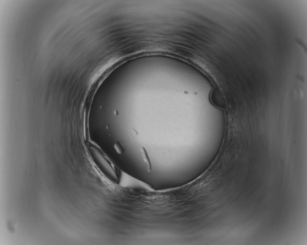 X0000102251127200808081405