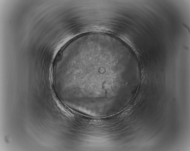 X0000102251128200808081405