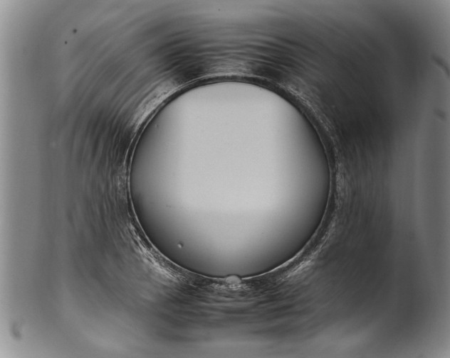 X0000102251129200808081405