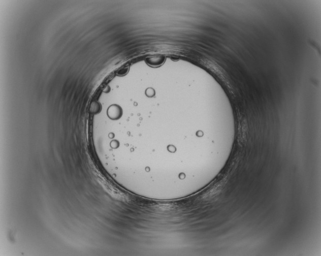 X0000102251130200808081405