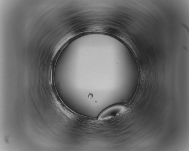 X0000102251131200808081405