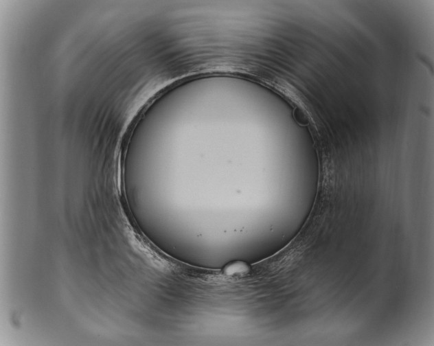 X0000102251132200808081405