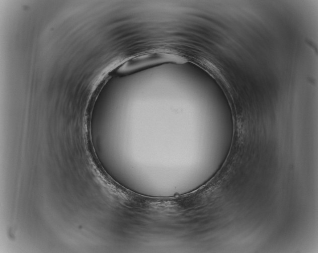 X0000102251133200808081405