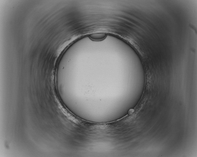 X0000102251134200808081405