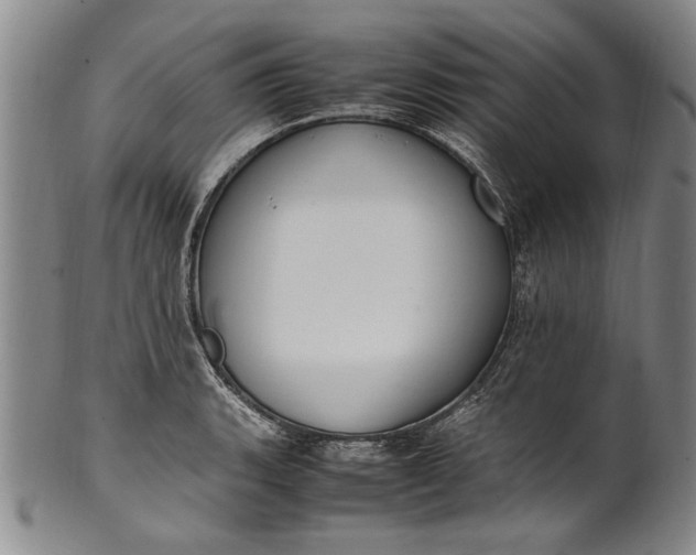 X0000102251135200808081405